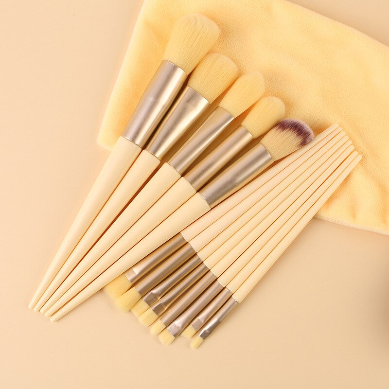 Premium 13 Piece Brush Set