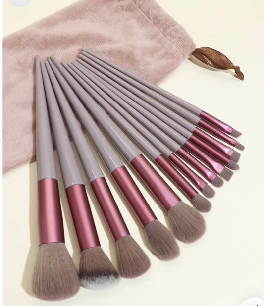 Premium 13 Piece Brush Set