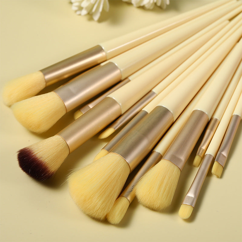 Premium 13 Piece Brush Set